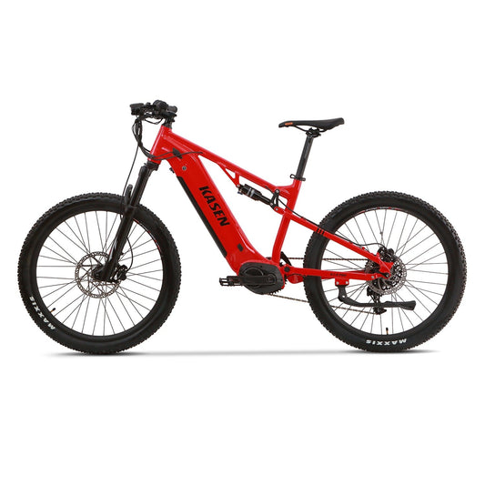 fast speed electric bike